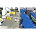 Automatic Weight Sorting Machine