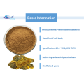 High quality phellinus igniarius extract