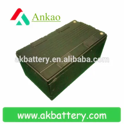 36V 10Ah Golf cart/trolley/tourist cart battery Pack Easy Maintainance