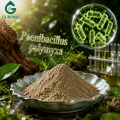 Paenibacillus Polymyxa مكونات الأسمدة الحيوية الميكروبية