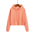 Sport Spring Women Sweatshirt