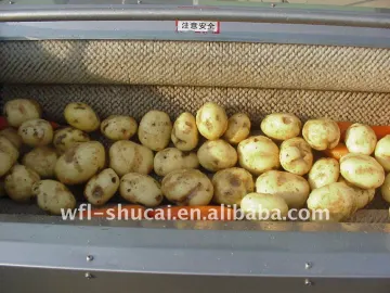Potato Washer/Potato(brush) Peeling Machine/Potato Peeler