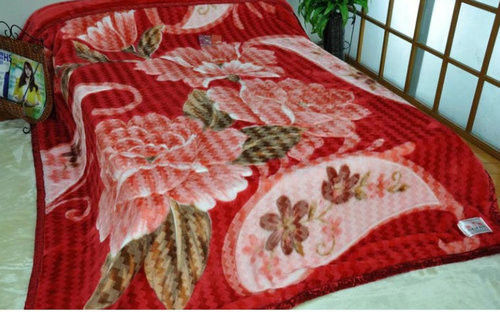 Double Printed Warm 100% Polyester Blanket Iso , 2 Ply Blanket For Family