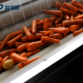 Máquina semi automática de peeling vegetal