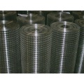 Electro Galvanized Welded Wire Mesh Black Wire Welded Wire Mesh Manufactory