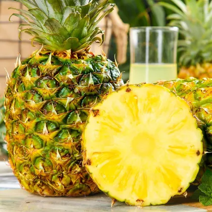 Premium Fresh Fragrant Baby Pineapples from Yunnan