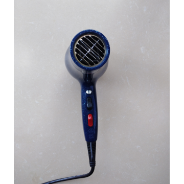 DC Power Excellence Salon Using Silent Hair Blower