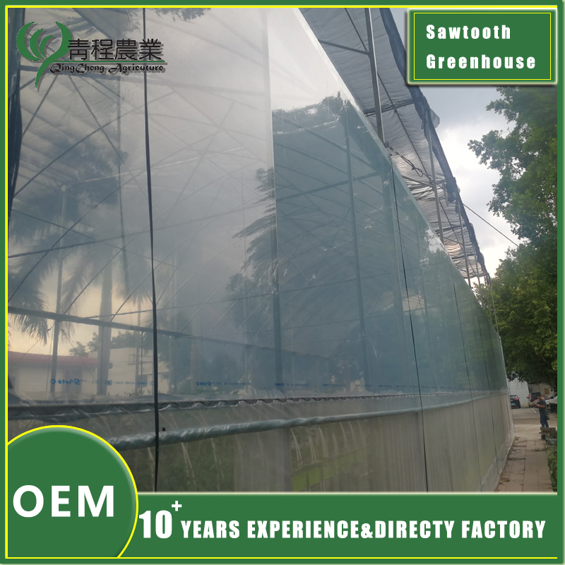 single slope sawtooth greenhouse