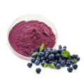 Wholesale Price Frozen Dried Organic Blueberry Juice Powder