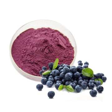 High Quality Blueberry Extract 25% Proanthocyanidin