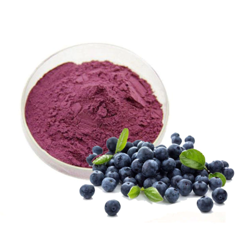 High Quality Blueberry Extract 25% Proanthocyanidin