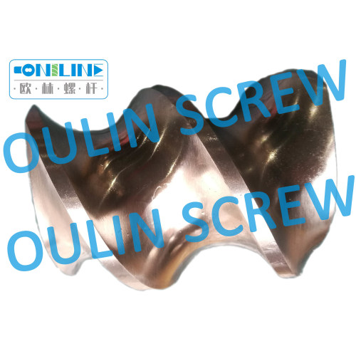 Twin Screw Element for Food Extrusion