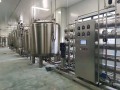 6000L / H EDI High Purify System Water System