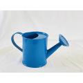 1 Gallon Blue Metal Watering Can