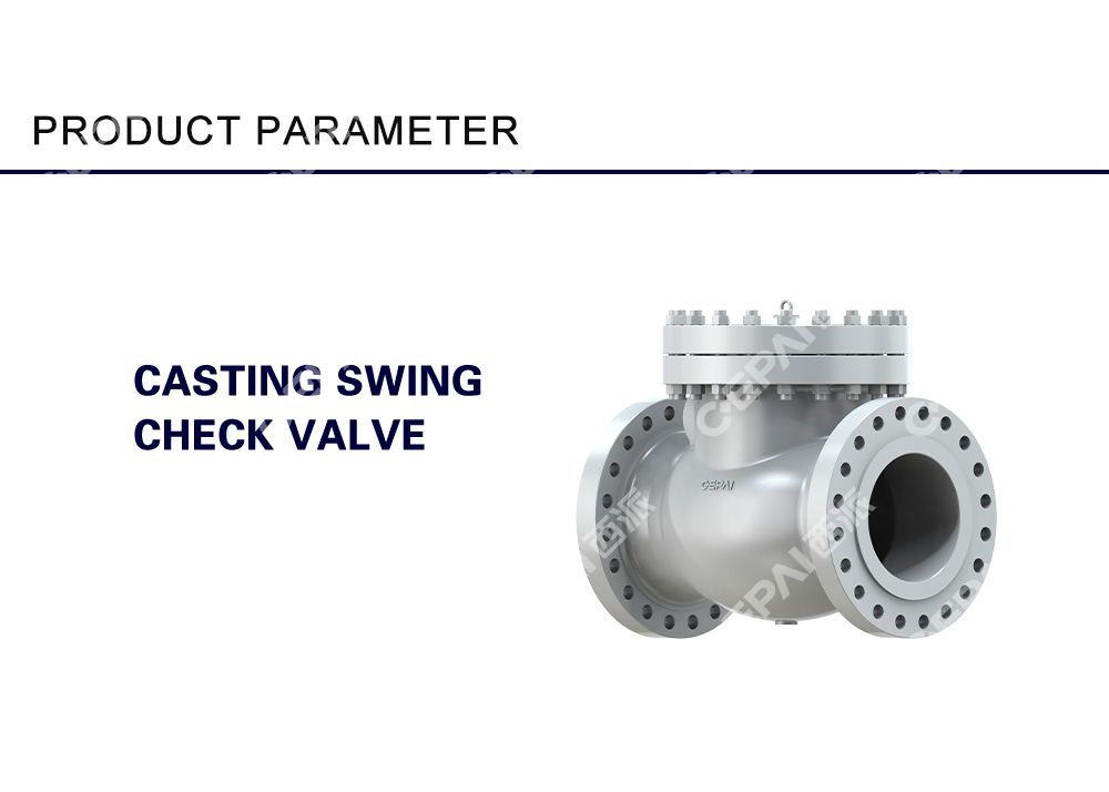 Casting Swing Check Valve7