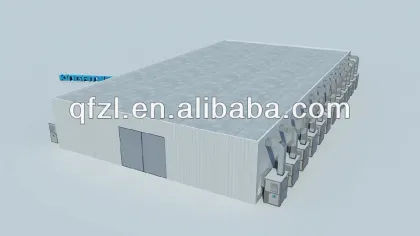 Mushroom Cultivation Equipment for King Oyster Mushroom