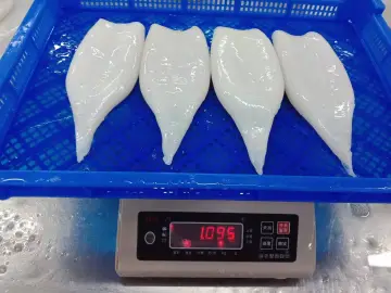 Iqf Frozen Gigas Squid Tube U3 U5 U7