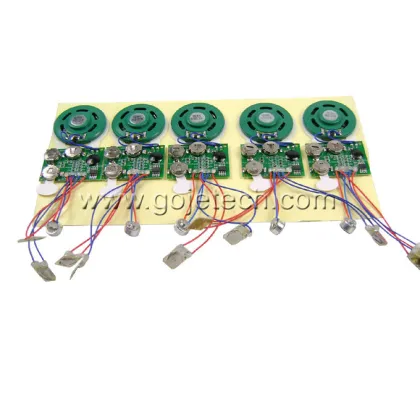 Electronic Voice chip