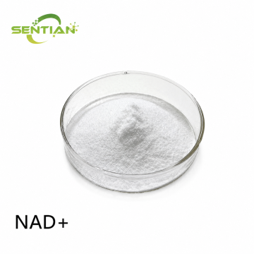 High-Purity NAD+ Supplement in Food-Grade Formulation