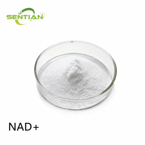 High-Purity NAD+ Supplement in Food-Grade Formulation