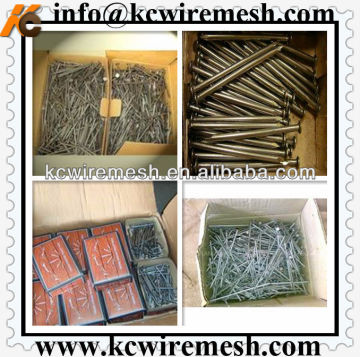 Round head common nails/iron nails manufacturer in China!!