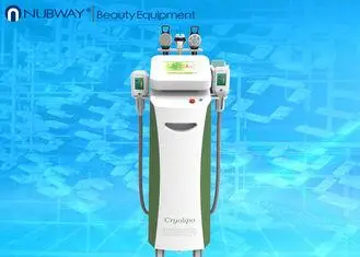 Cryolipolysis Beauty Equipment , Cryolipolysis Slimming Mac