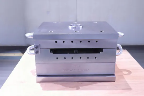 SG Plastic Injection Mould