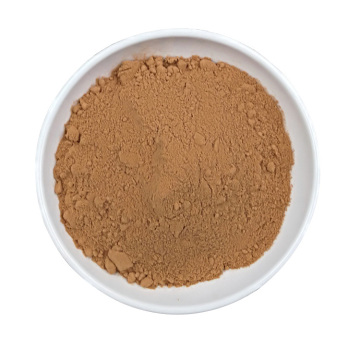 factory suppy high quality 100% natural papaya fruit extract powder