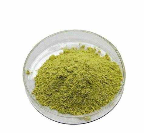 Panax Ginseng extract ginsenosides