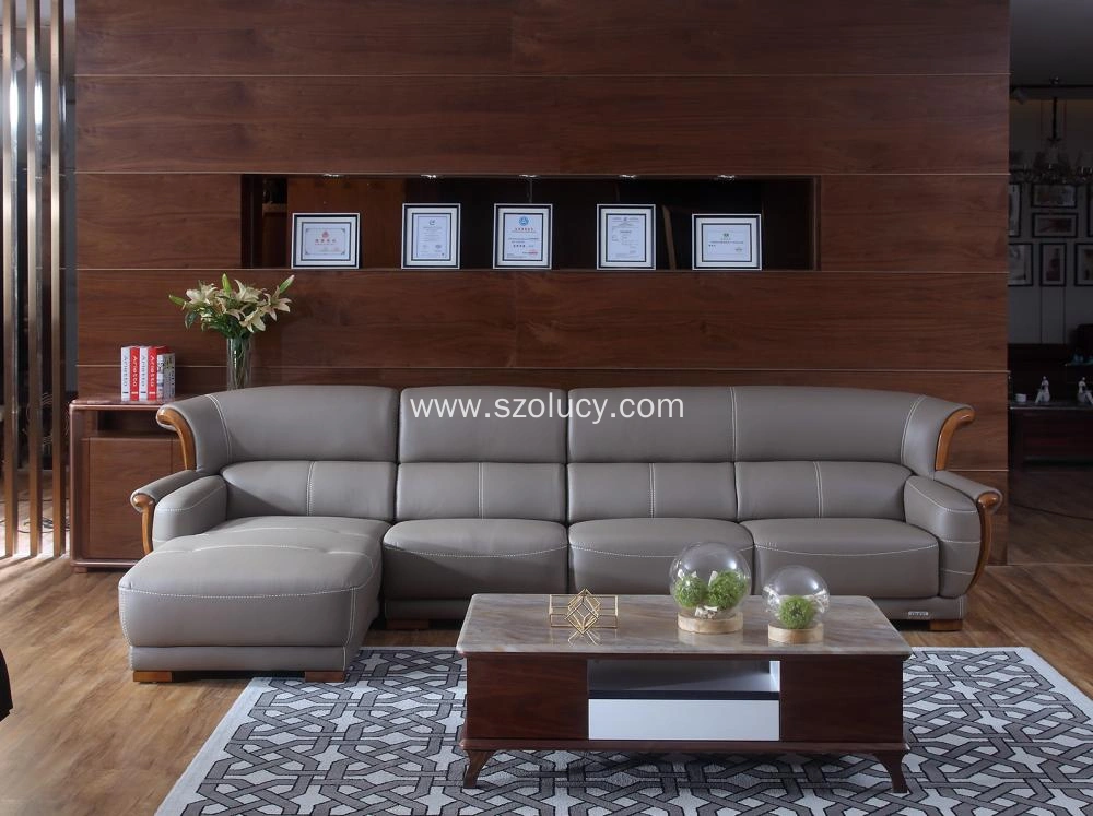 Grey Leather Sofa With Chaise China Manufacturer