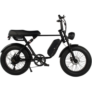 Harley Electric Fat Bike 48v 7 Speed ​​- Popular di EU &amp; AS