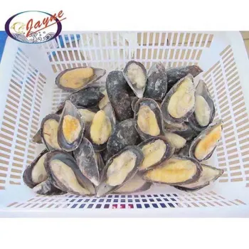 Chinese imports wholesale seafood products new zealand green blue shell mussels