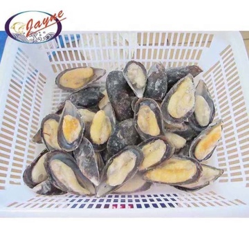 Chinese imports wholesale seafood products new zealand green blue shell mussels