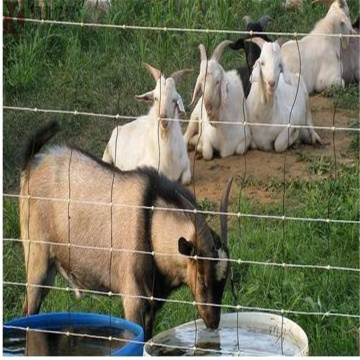 valla de red de pastizales galvanizada valla de ganado valla de animales