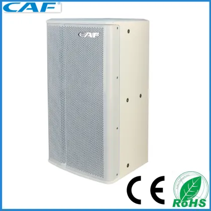 Pro Speaker DJ equipment bass speaker box