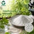Ampelomyces Quisqualis مسحوق فطريات مكافحة البياض الدقيقي