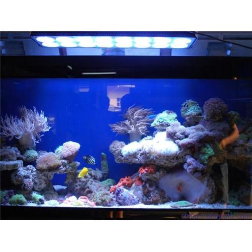 165w High Selling Aluminum Aquarium Light