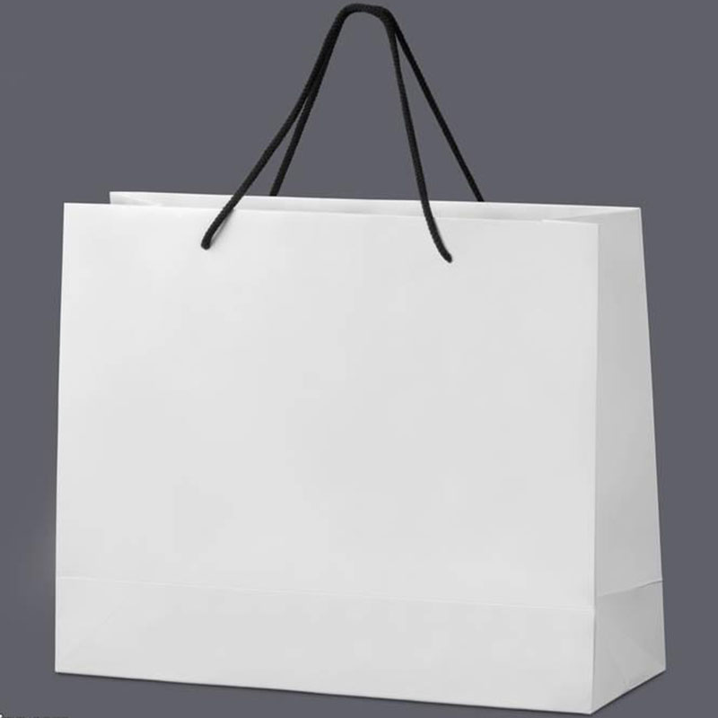Paper Bag 12 1
