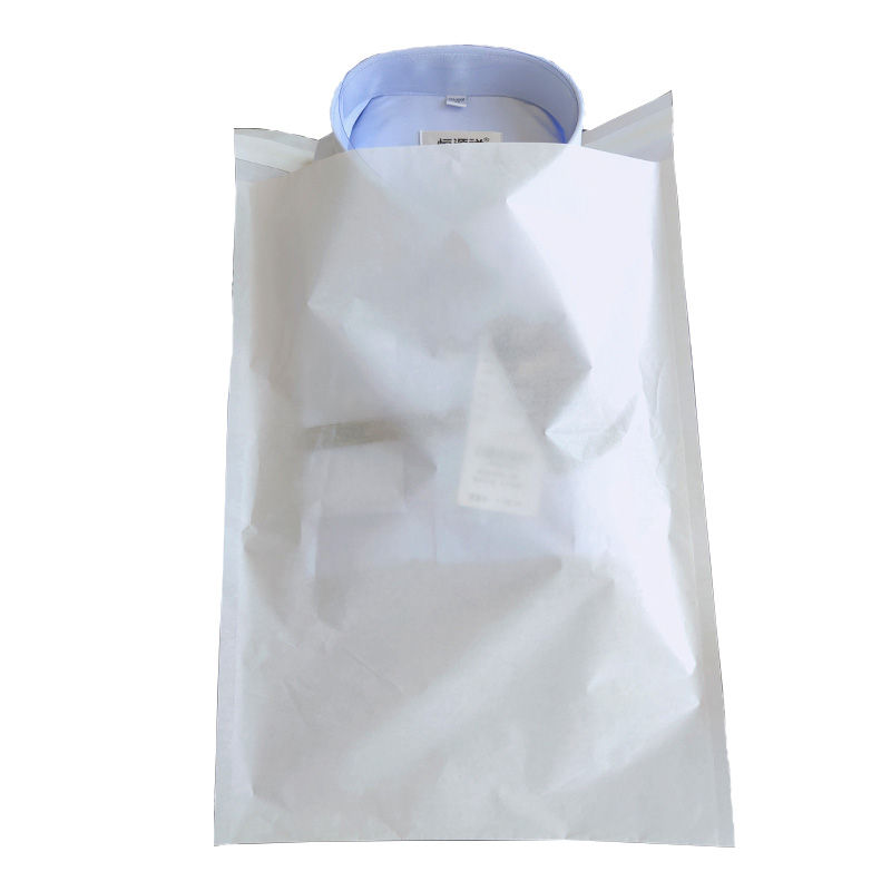 Transparent Garment Bag1 23