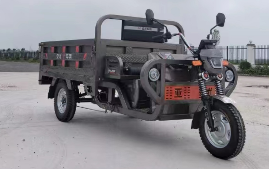 Xunzhou Fengxian Electric Trike pour le passager et le fret