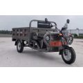 Xunzhou Fengxian Electric Trike للركاب والشحن