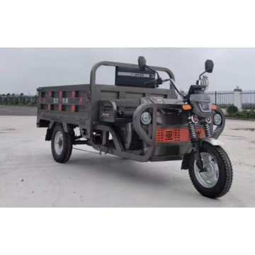 Xunzhou Fengxian Electric Trike للركاب والشحن