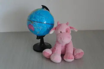 The Baby Pink Cow