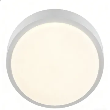 Soft glow ceiling lamp