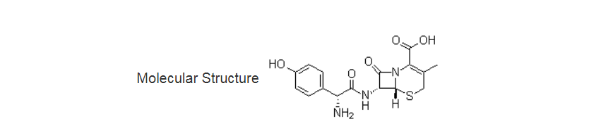 Cefadroxil02