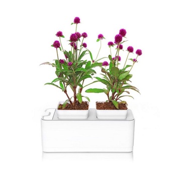 Mocle Indoor Flower Pot Crescer Sistema