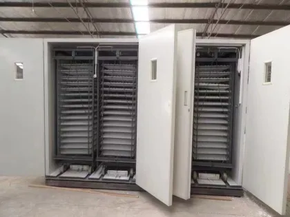 Swan Egg Incubator for Hatching Eggs