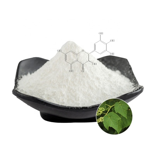 Supply Natural DHM Dihydromyricetin Powder