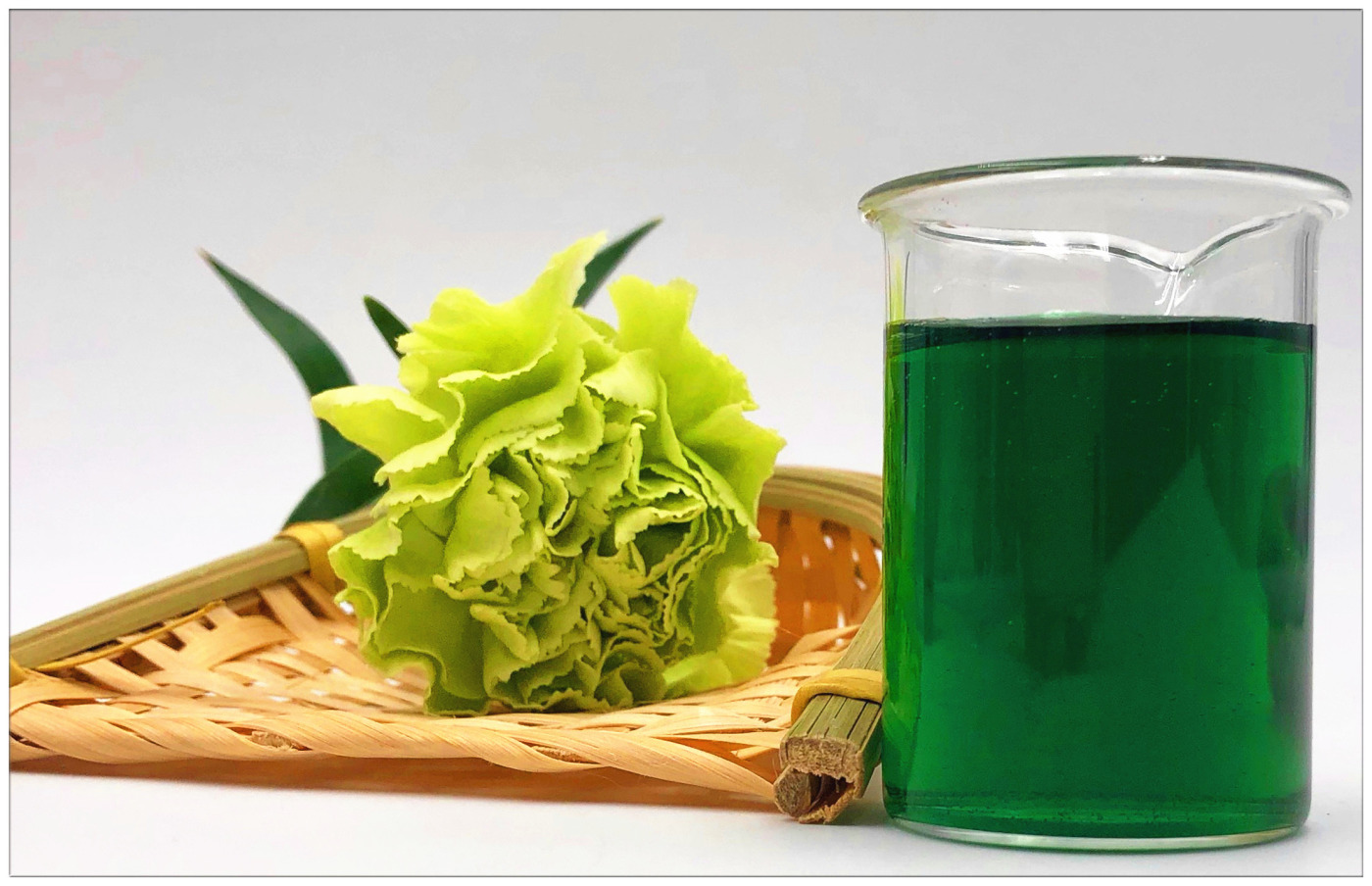Sodium copper chlorophyllin.