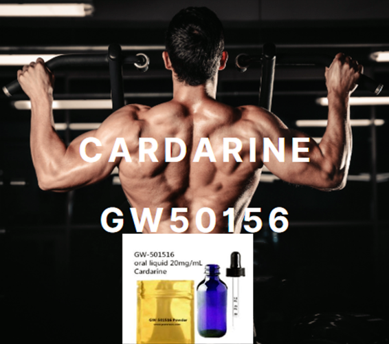 Hot Sell Sarms raw powder liquid Cardarine Gw501516